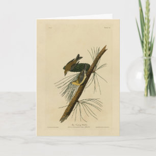 Carte Paruline rampante - Audubon's Birds of America