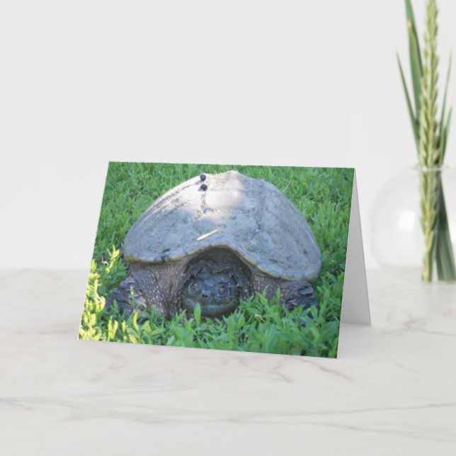 Carte "Pas aussi effrayé que vous ne l'êtes" Anniversair (Devant)