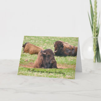 Carte Pas de mouches sur vous pour votre anniversaire - 