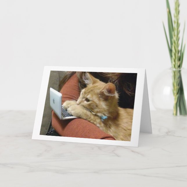 CARTE PAS DE RONRONNEMENTS, NOUS VOUS SOUHAITONS UN JOYE (Devant)