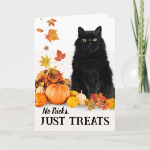 Carte Pas de tours, juste des friandises Halloween Chat