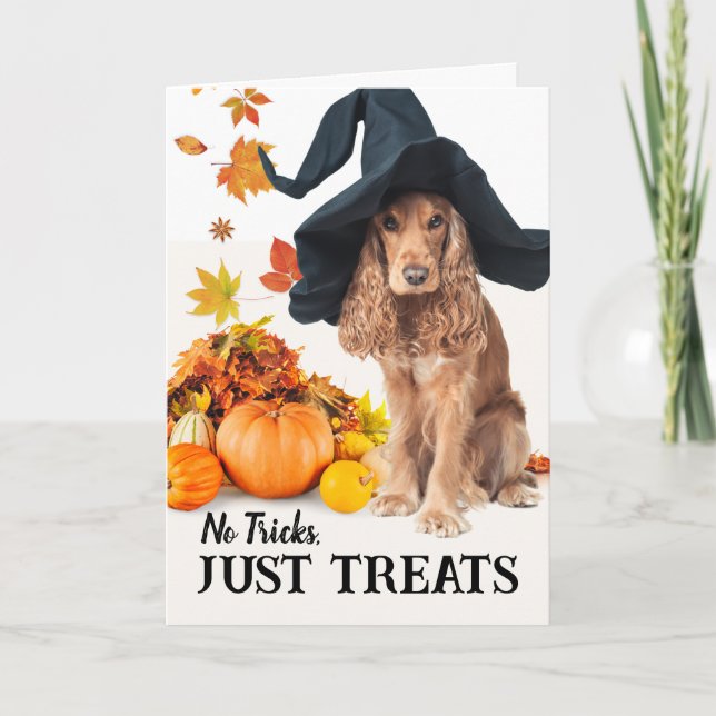 Carte Pas De Trucs Juste Traite Halloween Cocker Spaniel (Devant)