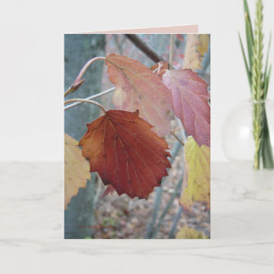 Carte Pas encore tombé