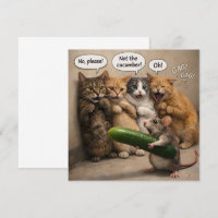 Pas le concombre, chat drôle et souris plat saluta