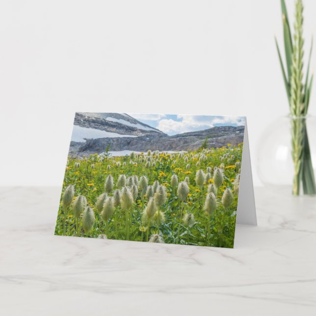 Carte Pasqueflower occidental | Monts East Kootenay (Devant)