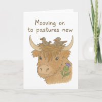 passage aux pâturages nouvelle vache et oiseaux de