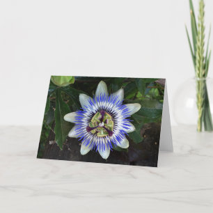 Carte Passion Flower #2