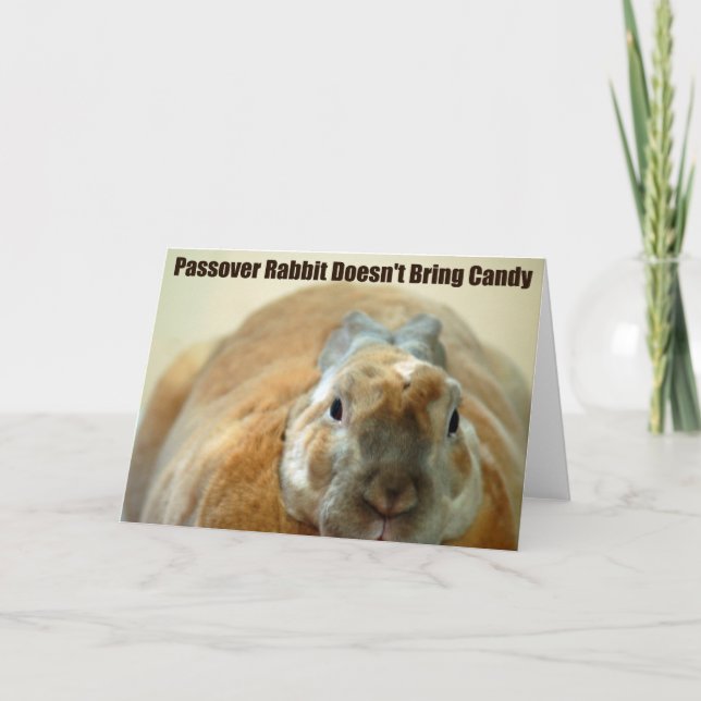 Carte Passover Rabbit (Devant)