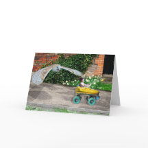 Patinage à rouleaux Mayhem