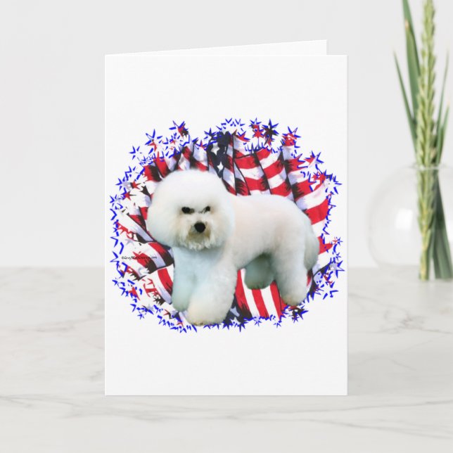 Carte Patriote de Bichon Frise (Devant)