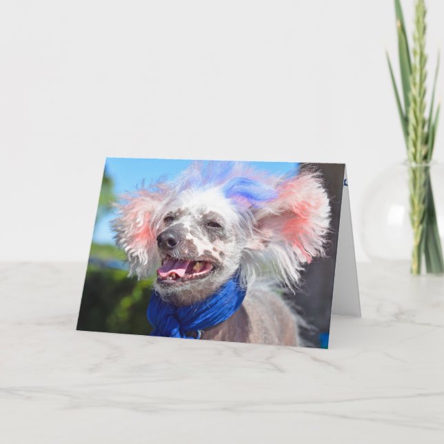 Carte Patriotic Chinese Crested hairless dog (Devant)