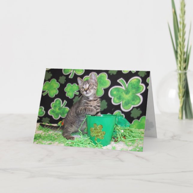 Carte Patton the St. Patrick's Day Cat Greeting Card (Devant)