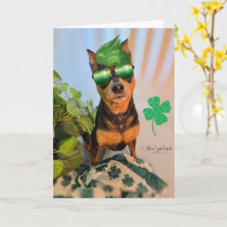 Carte Patty MinPin