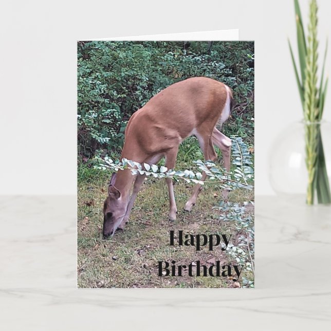 Carte Pâturage de cerfs blancs à Dusk Joyeux anniversair (Devant)