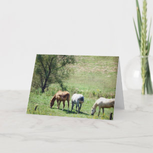 Carte Pâturage du cheval