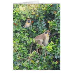 Carte Paul McGehee "Monkeying Around"