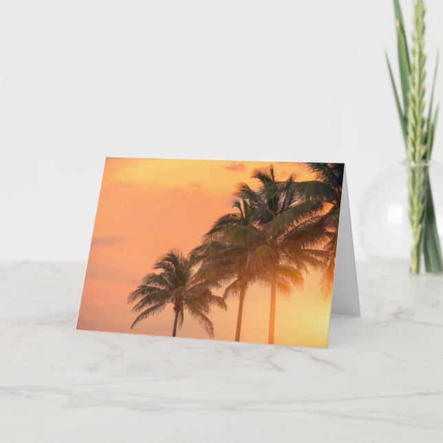 Carte Paumes de Miami (Devant)