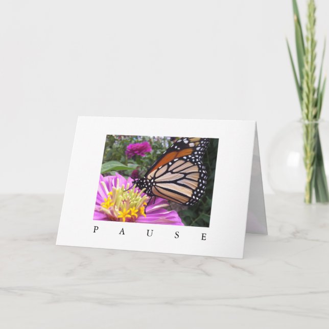 Carte Pause : Monarque sur Pink Zinnia (Devant)