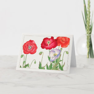 Carte Pavot par Tanigami Konan