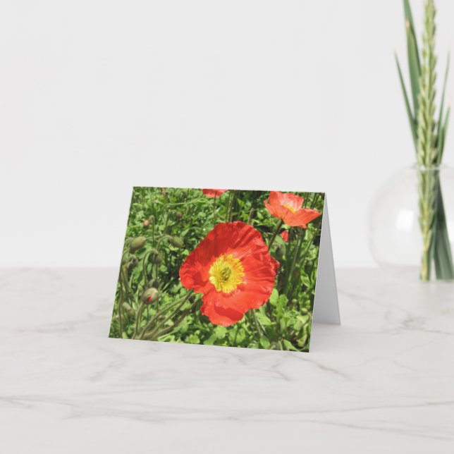 Carte Pavots parfaits (Devant)