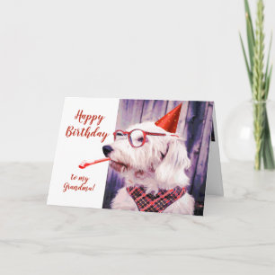 Carte Paw-sively Grrr-eat Anniversaire grand-mère chien 