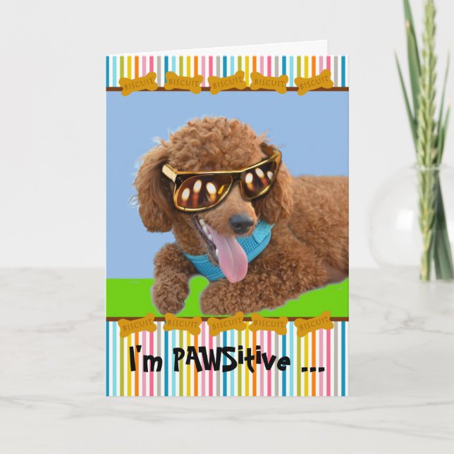 Carte Pawsitive Birthday Red Pooda in Shades (Devant)