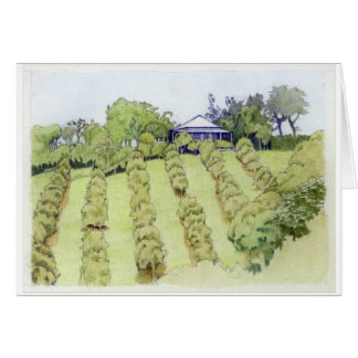 Carte Paysage