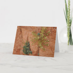 Carte Paysage