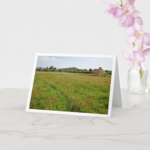 Carte Paysage Agritouristique Poppy Field