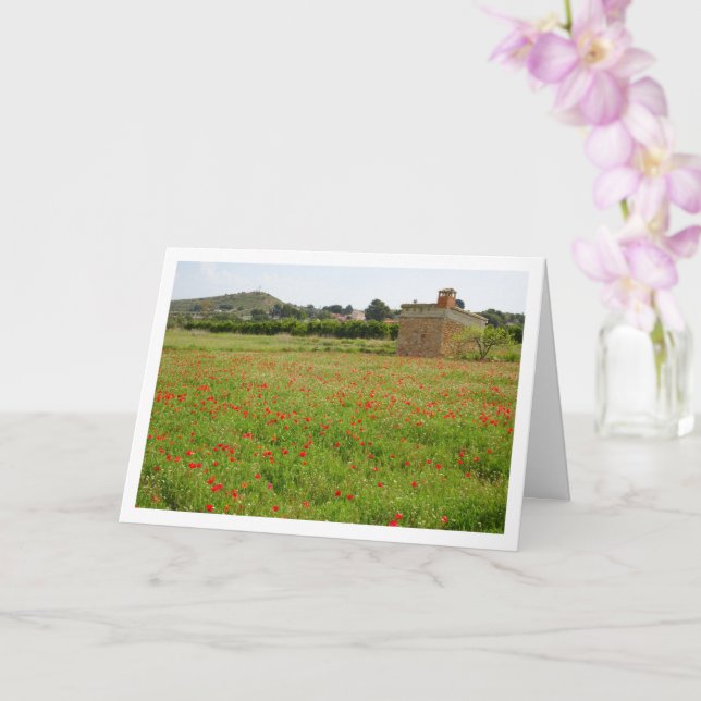 Carte Paysage Agritouristique Poppy Field (Orchidée)