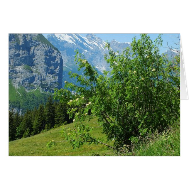 Carte paysage alpin (Devant horizontal)