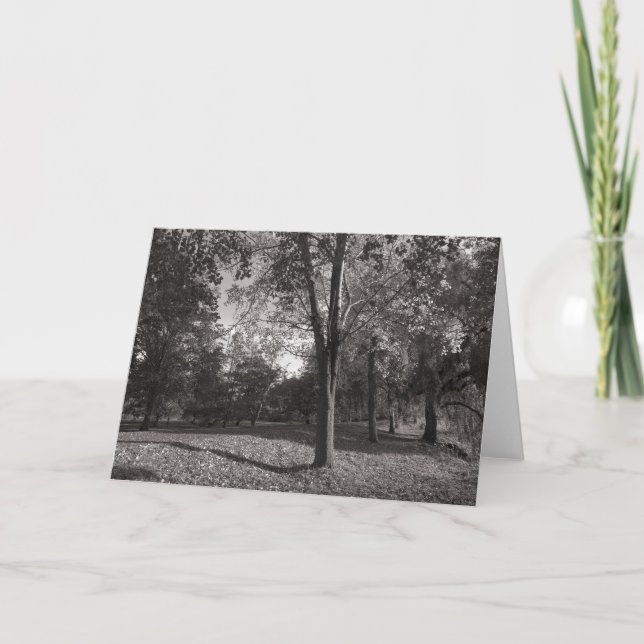 Carte Paysage d'automne, Bute Park, Cardiff (Devant)