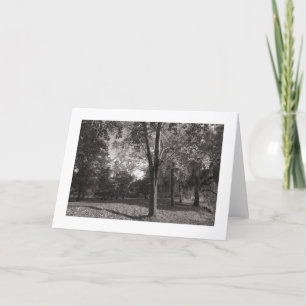 Carte Paysage d'automne, Bute Park, Cardiff (bordé)