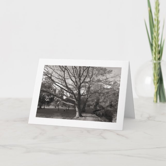 Carte Paysage d'automne, Bute Park, Cardiff (bordé) (Devant)