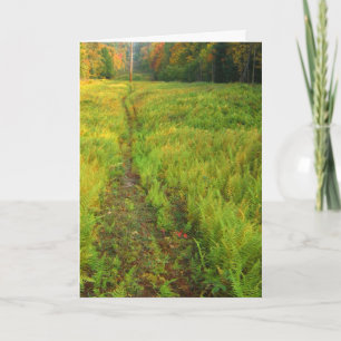 Carte Paysage d'automne de Fern
