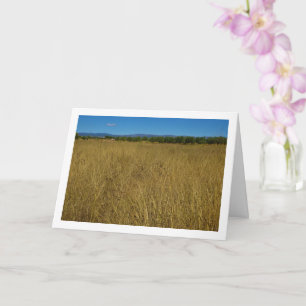 Carte Paysage de l'herbe jaune