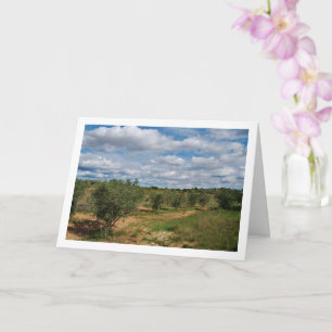Carte Paysage de nuages dans un verger