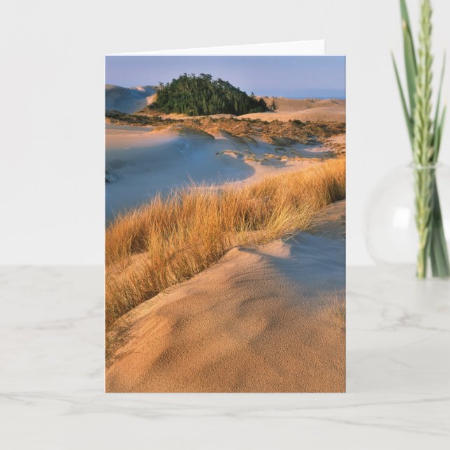 Carte Paysage Des Dunes De Sable De L'Oregon (Devant)