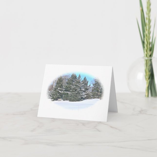 CARTE PAYSAGE D'HIVER /ARBRES À FEUILLAGE PERSISTANT & B (Devant)