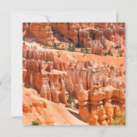 Paysage du Parc de Bryce Canyon Utah Photo de Hood