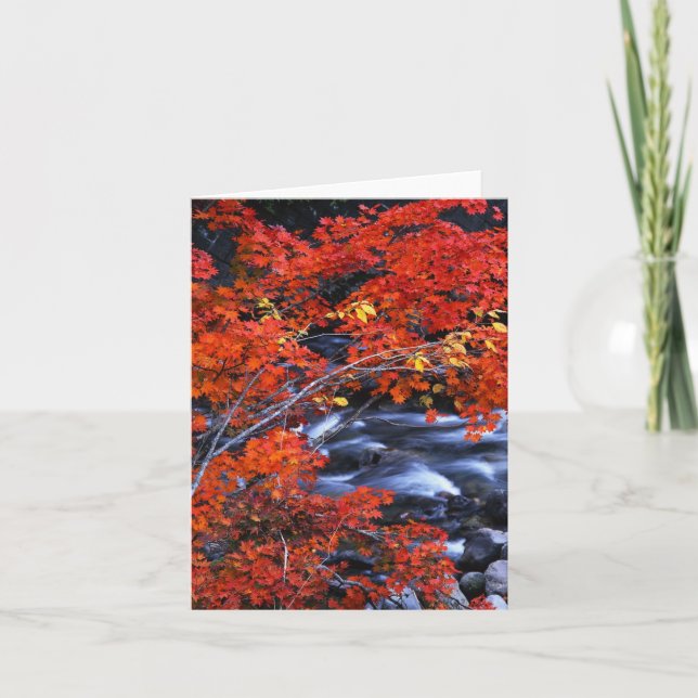 Carte Paysage rouge/bleu (Devant)