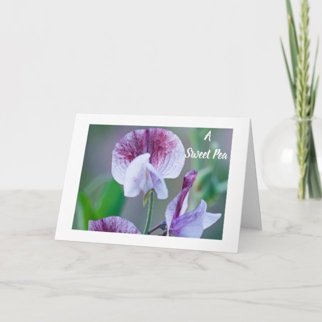 CARTE **PEA DOUCE** POUR UNE **CHAUSSÉE** À L'ANNIVERSAI (Devant)