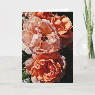 Carte Peach Apricot Roses Portrait Art Note