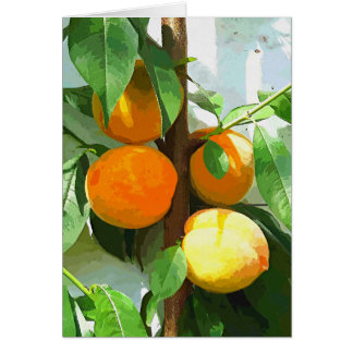 Carte PEACHES