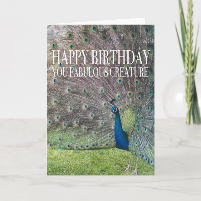 Carte Peacock Birthday Card (Devant)