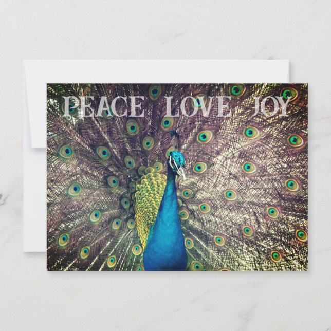 Carte Peacock Christmas Card (Devant)
