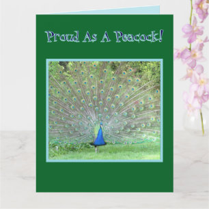 Carte Peacock/"FIER COMME UN PEACOCK"/HEUREUX PÈRE D'ANN