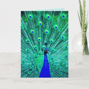 CARTE PEACOCK FUNNY BANTHDAY GREETING CARD
