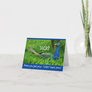 CARTE PEACOCK IN GRASS/GET WELL/ESPOIR QUE VOUS OBTENEZ