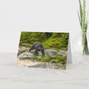 Carte Pêche à l'ours noir Qua Creek Colombie-Britanniq